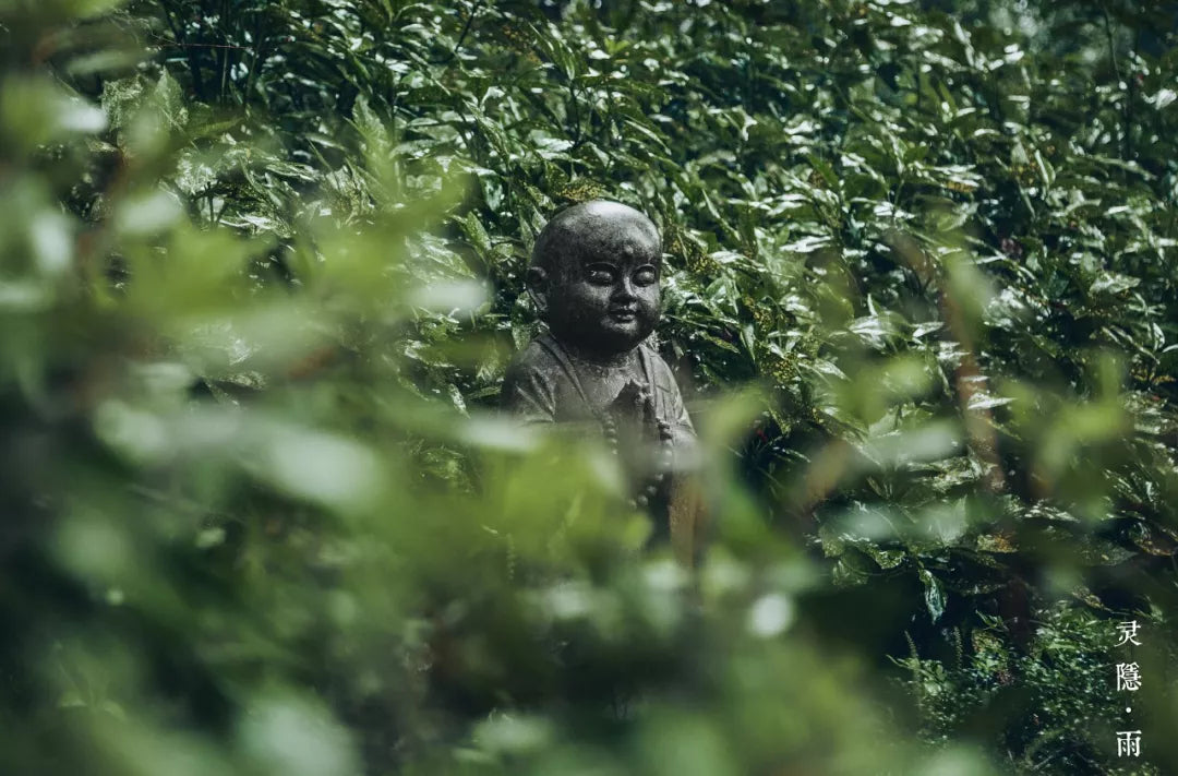 灵隐寺西湖龙井雨前茶-500克价格