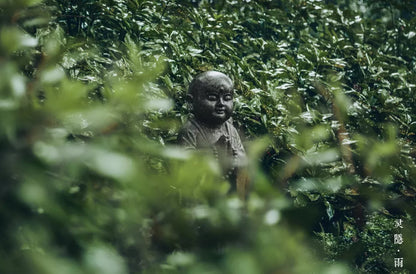 灵隐寺西湖龙井雨前茶-500克价格